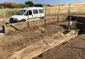 Gretsiyada 20 million yillik daraxt topildi фото