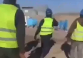 Қашқадарёда хитойликлар эшак сўйиб истеъмол қилаётгани айтилмоқда фото