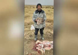 Jizzaxda bo‘rini so‘yib, boshini tanasidan ayirgan erkakka chora ko‘rildi фото