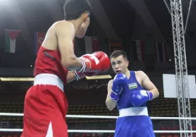 Bugun 8 nafar bokschimiz Osiyo chempionati yarim finali uchun jang qiladi фото