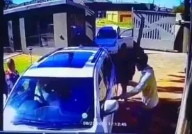 Кампир босқинчиларнинг попугини пасайтириб қўйди (видео) фото