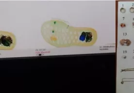 Oyoq kiyimga yashirilgan zargarlik buyumlari fosh etildi фото
