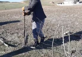 O‘zboshimchalik bilan egallangan yer uchastkalariga nisbatan ijara huquqi belgilanyapti фото