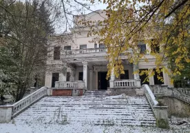 Rossiyada Stalinning sobiq dala hovlisi auksionda sotildi фото