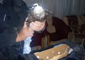 303,0 млн. сўмлик "лочин"ларни чегарадан олиб чиқиб кетмоқчи бўлган шахс қўлга олинди фото