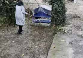 Toshkentda daydi mushuklar uchun «Mushukkent» boshpanasi ochildi фото