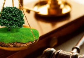 Ҳокимлар ноқонуний ер ажратгани учун нега жавобгарликка тортилмаган? фото