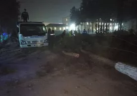 Андижонда «дарахтлар қирғини»: ҳодиса ортида вилоят ҳокими тургани айтилди фото
