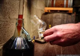 “Alkogol – chirituvchi bakteriyalarning peshobidir” фото