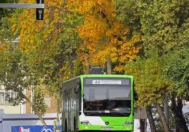Toshkentda jamoat transportlarining yo‘llardagi harakat xavfsizligiga doir monitoring o‘tkazildi фото