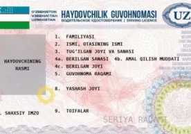 Toshkentda haydovchilik guvohnomalari berilishi vaqtinchalik to‘xtatildi фото