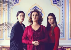 Хотин-қизлар қўмитаси сериалларни тўхтатишга эмас, улардан тўғри хулоса чиқаришга чақирди фото