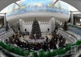 Toshkentda “Prezident archasi” tantanalari boshlandi (video) фото
