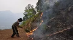 Hindiston shimolida davom etayotgan o‘rmon yong‘inlari tufayli 6 kishi halok bo‘ldi фото