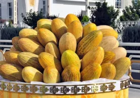 Qovun — chanqoqni bosadi, asablarni tinchlantiradi фото
