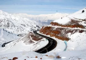 Қамчиқ довони орқали қатновлар ўзгаришсиз давом этмоқда фото