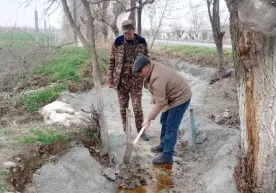 Сирдарёда ариқларни бетонлаштириш жараёнида табиатга 232 млн сўм зарар етказилди фото