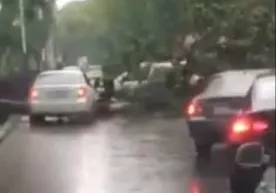 Toshkentda daraxt yurib ketayotgan avtomobillar ustiga qulab tushdi (video) фото