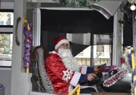 Тошкентда мушакбозлик томошаси учун автобуслар ажратилади фото