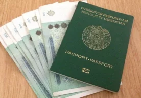 Президент гранти, «қизлар учун махсус стипендия» – улар ҳақида нималар маълум? фото