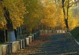 11 ноябрь Ўзбекистонда ҳаво очиқ бўлади фото