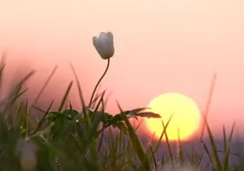Бугун! Эртага жуда кеч бўлади... фото