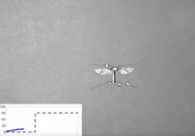 Amerikalik muhandis olimlar “raqsga tusha oladigan” robot-arini ixtiro qilishdi (video) фото
