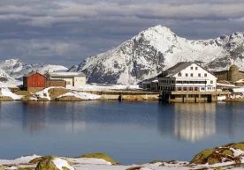 Гренландия музликларнинг эриган сувини сотишни режалаштирмоқда фото
