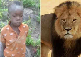 Zimbabveda 8 yoshli bola sherlar yashaydigan qoʻriqxonada besh kun qolib ketdi фото