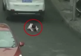 Xitoyda 2 yoshli qizaloq ikki marta avtomobil tagida qoldi (Video) фото