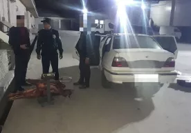 Сирдарёда Тошкентга олиб кетилаётган салкам 1,4 тонна истеъмолга яроқсиз гўшт тўхтатиб қолинди фото