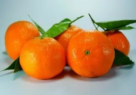 Mandarince kimlere yasaktır? фото