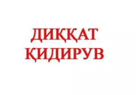 Қидирувдаги “таътил” узоққа чўзилмади фото