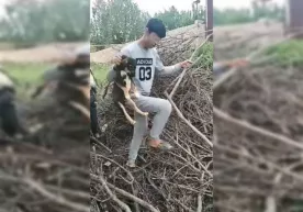 Тошкентда жониворларга шафқатсиз муносабатда бўлган ўсмирларга нисбатан чора кўрилди фото