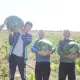 Уста деҳқонларни қўллаб-қувватлаш учун янги субсидия ва грант тизими жорий этилди