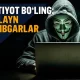 Ommalashgan virtual firibgarlik turlari va ulardan qanday himoyalanish kerak?
