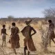 Noyob genetik izchilliklar Afrikadagi qadimgi odamlarning tarixini yoritadi
