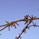 Qozog‘istonda ikki nafar o‘zbekistonlikning 3 yil davomida tutqunlikda ushlab turilgani aniqlandi