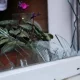 Россия Украина шаҳарларига зарба бермоқда, Украина ҳам шундай жавоб қайтара оладими?