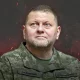 Машҳурликда Зеленский билан беллашади. Залужний бунга қандай эришди?