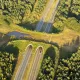 Келажак айнан Голландиядан бошланишини кўрсатувчи асосли сабаблар (фото)
