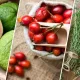 Tarkibida apelsindan ko‘ra ko‘proq C vitamini bo‘lgan 7 ta mahsulot