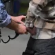 Rossiya hukumati migrantlarni deportatsiyadan oldin hibsda saqlash muddatini belgiladi