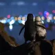 Бева қолган икки пингвиннинг сурати халқаро мукофотга лойиқ кўрилди