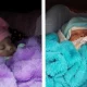 Бразилиялик аёл ўлимидан 123 кун ўтгач, соғлом эгизакларни дунёга келтирди… (ФОТО+ВИДЕО)