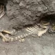 Namanganda noma’lum maxluqning skeleti topildi (foto)