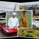 Dubay shahzodasi Hamdanning hashamatli xaridlari: 40 ta shaxsiy samolyot, 2,7 mln dollarlik tuya
