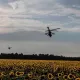 Ғарб таҳлилчиларининг сўнгги прогнозлари: Украина стратегияси иш беряптими?