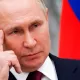 OAV: Putin vositachilar orqali AQSHga urushni muzlatish taklifini bergan