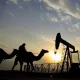 Саудия Арабистони барча харидорлар учун нефт нархини пасайтиряпти